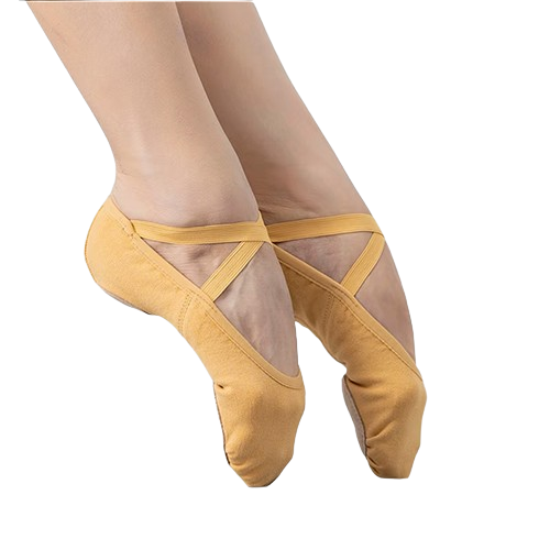 Ballet shoes